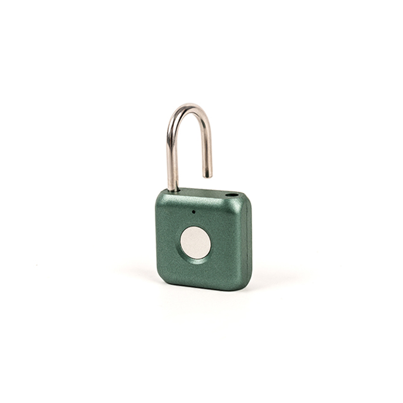 Oplegatura di impronte digitali in acciaio carburoso da 0,1 kg