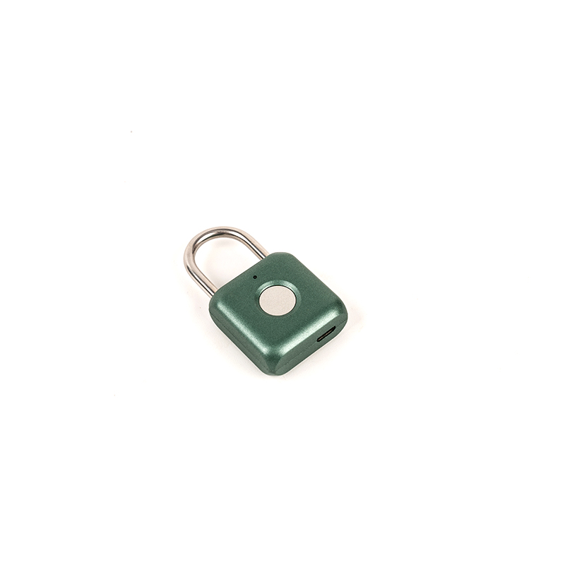 Oplegatura di impronte digitali in acciaio carburoso da 0,1 kg